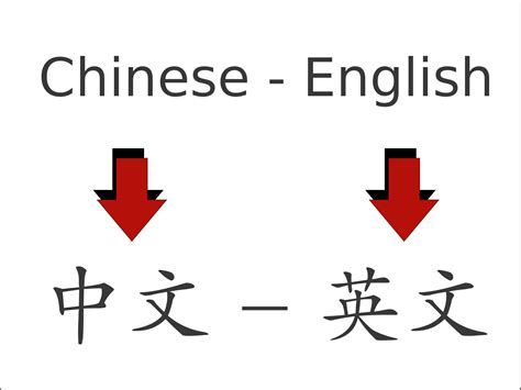 translate english to chinese language
